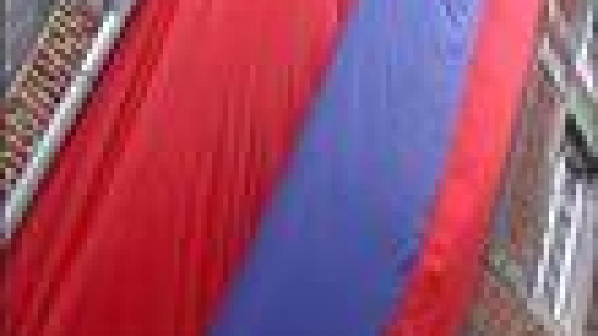 La famille rouge et bleue reconstituée.